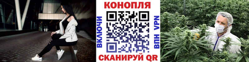 Конопля White Widow  Купить где  Новомосковск 